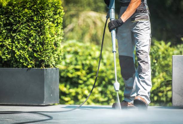 Best Solar Panel Cleaning  in Lake Village, AR