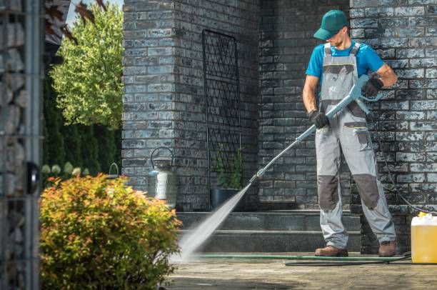 Best Graffiti Removal  in Lake Village, AR